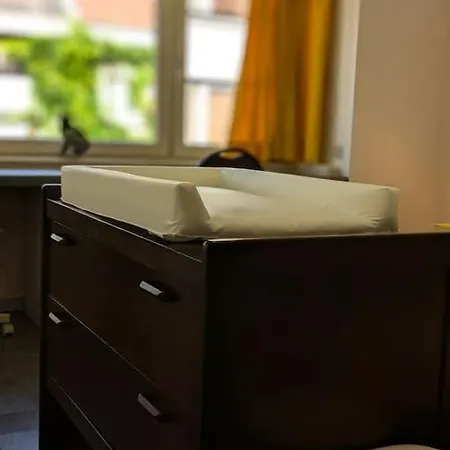 Huis Van Artevelde - Hondvriendelijk Vakantiewoning Met Gezellige Tuin - *