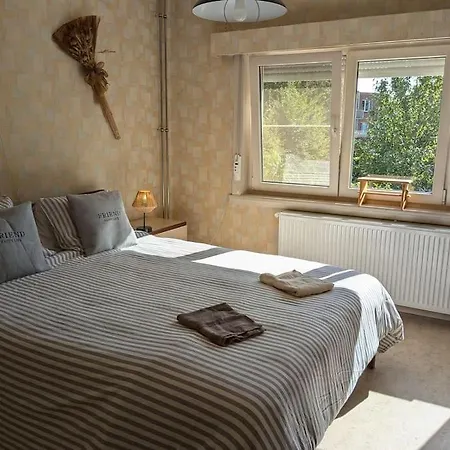 Huis Van Artevelde - Hondvriendelijk Vakantiewoning Met Gezellige Tuin - * Gante