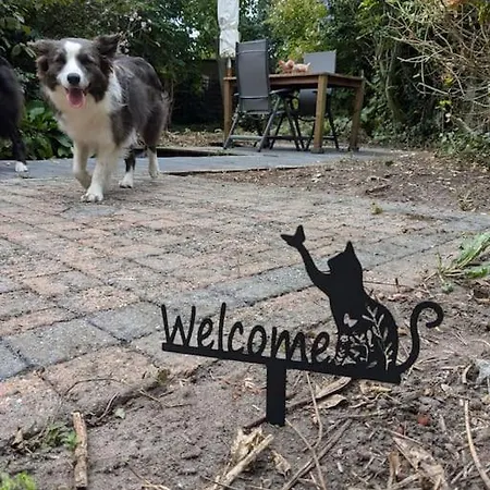 Huis Van Artevelde - Hondvriendelijk Vakantiewoning Met Gezellige Tuin - Casa de Férias *