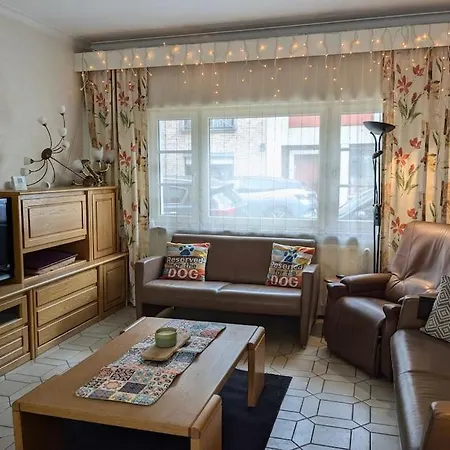 Huis Van Artevelde - Hondvriendelijk Vakantiewoning Met Gezellige Tuin - * Gante